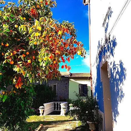 ゲストハウス Vesta Sorgono